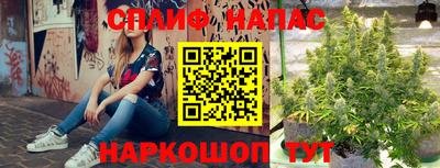 ГАЛЛЮЦИНОГЕННЫЕ ГРИБЫ Балаково